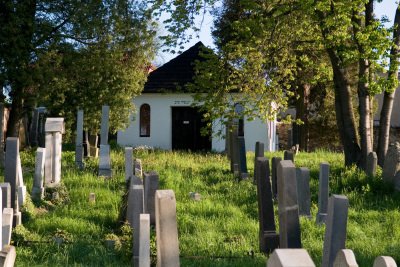 zidovsky-hrbitov-pacov-kveten-2013-001