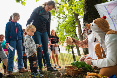 068PACOVRSL_REPORT_Tadeas_Hlasek092025