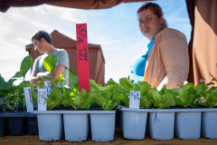 velikonocni-trh-20250405-041