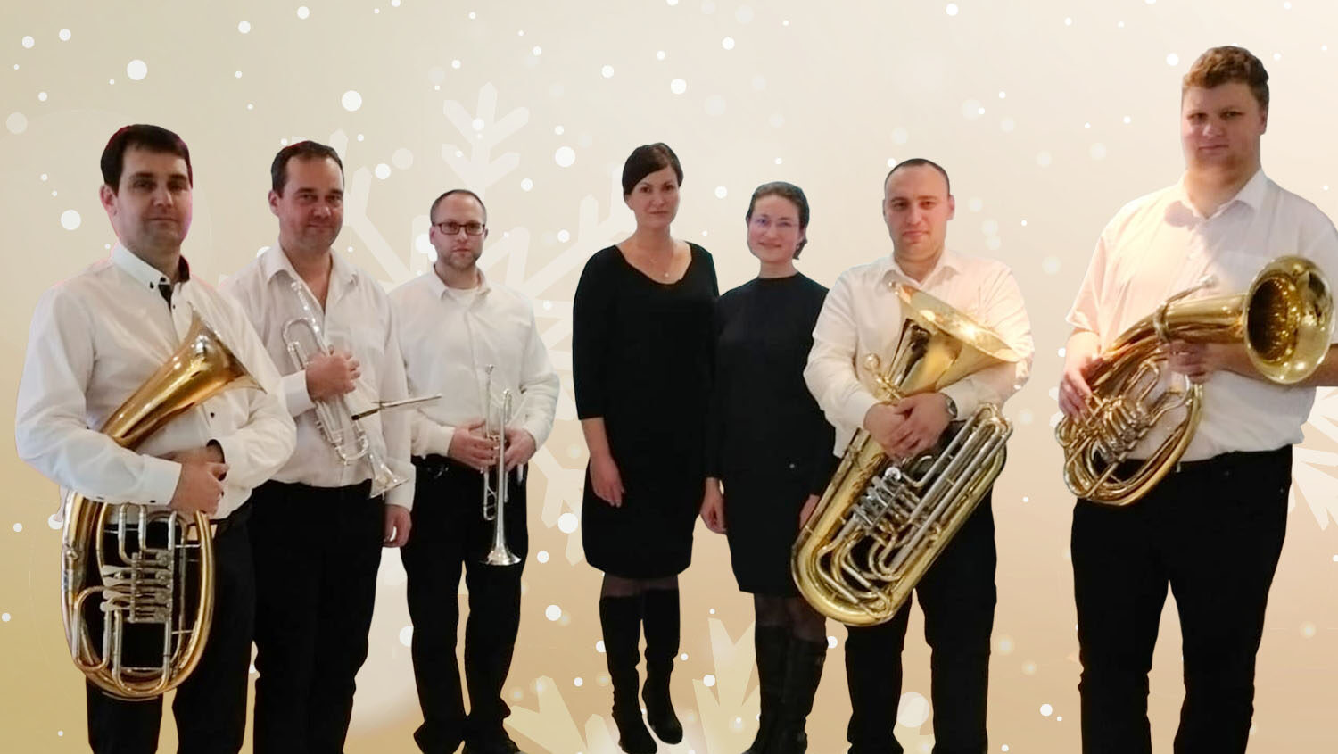 Vánoční koncert / Muzikanti z jižních Čech