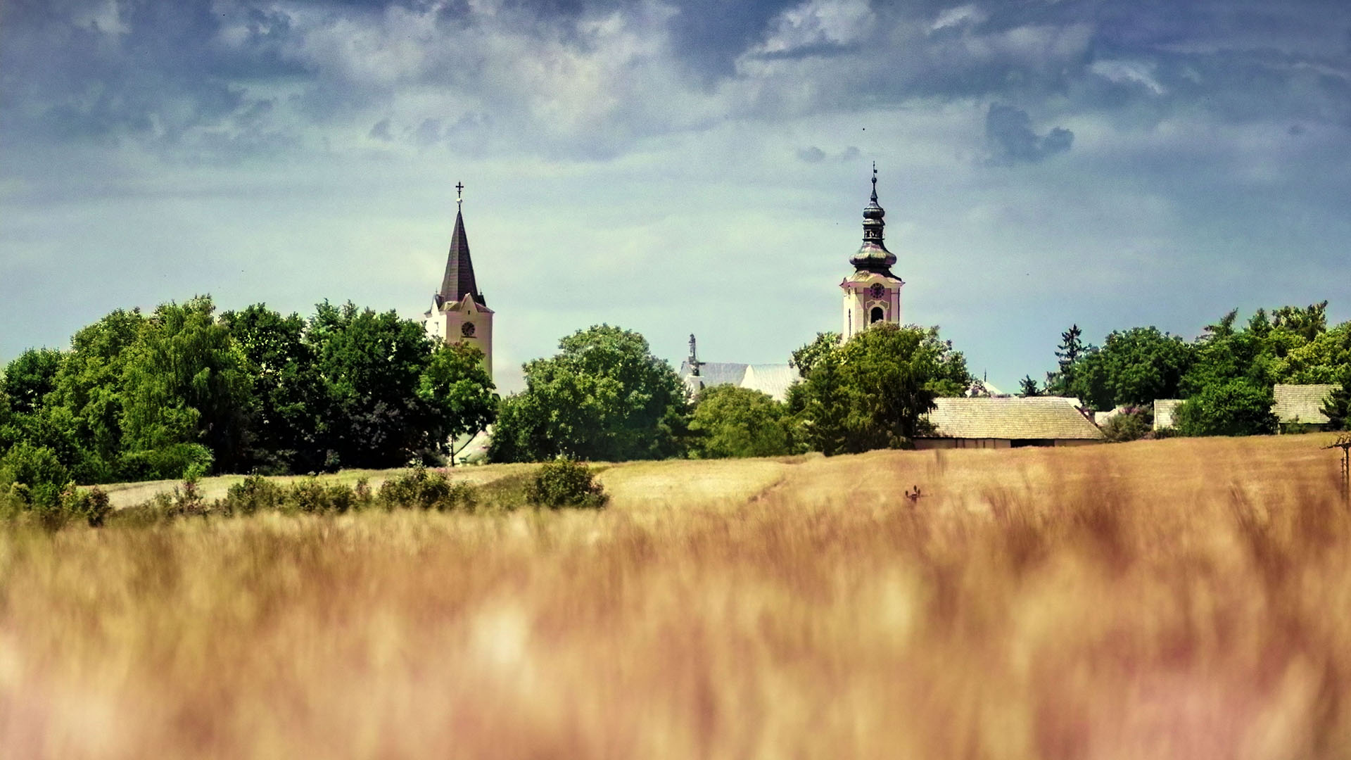 Ve stínu pacovských věží