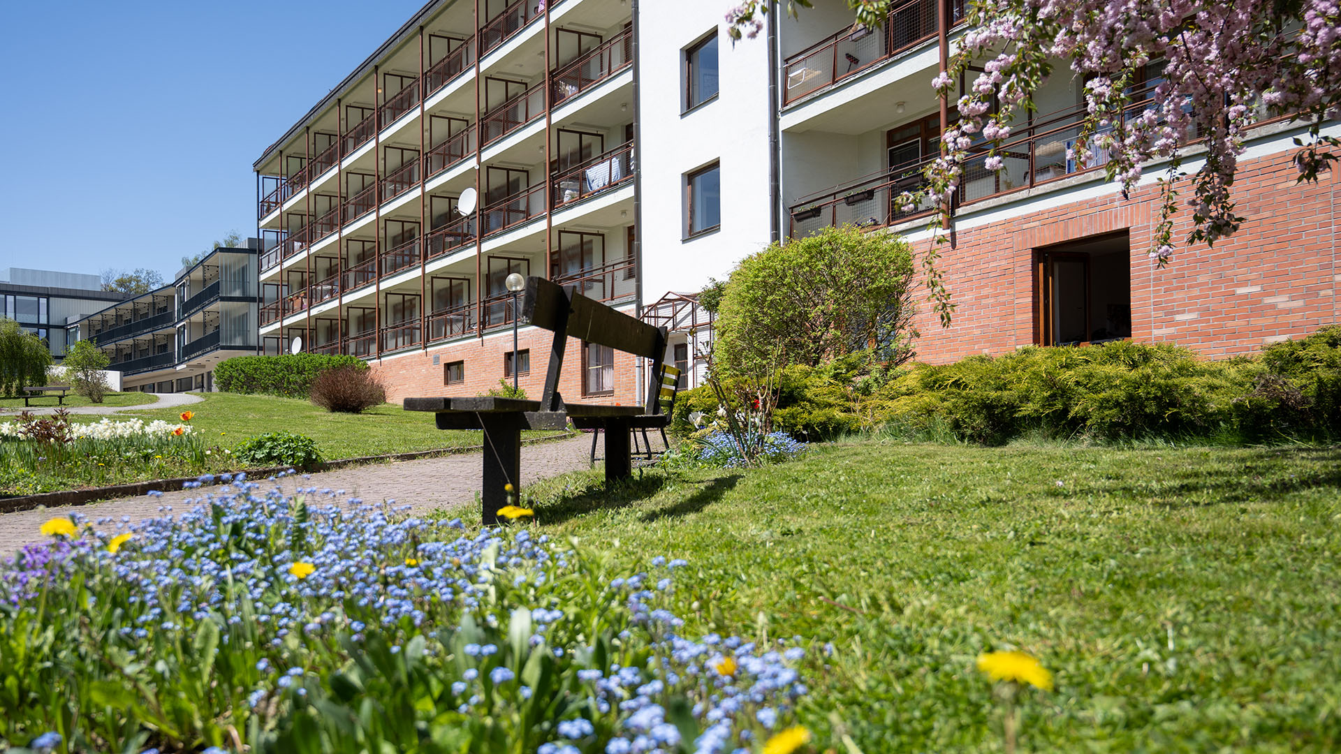 Dům sociálních služeb Pacov